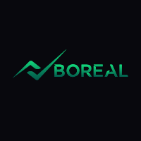 Logo Marketing Boreal